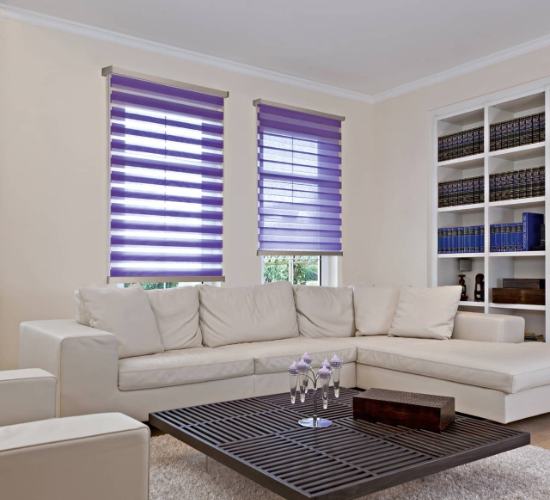 Elegant Duplex Blinds Dubai